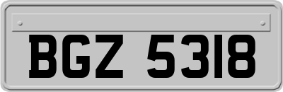 BGZ5318