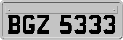 BGZ5333