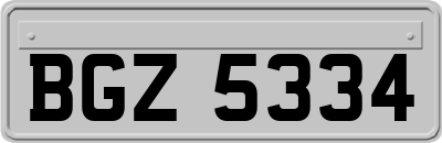 BGZ5334