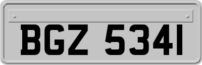 BGZ5341