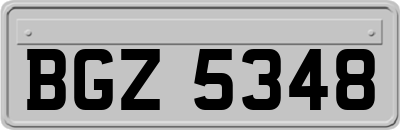 BGZ5348