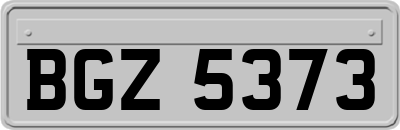 BGZ5373