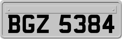 BGZ5384