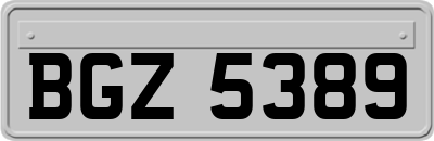 BGZ5389