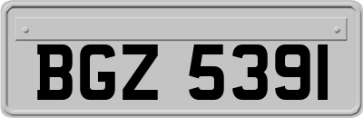 BGZ5391