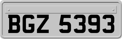 BGZ5393