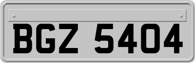 BGZ5404