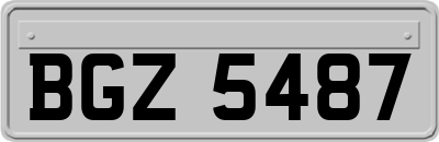 BGZ5487