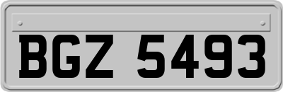 BGZ5493