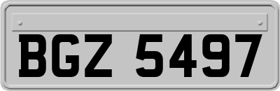 BGZ5497
