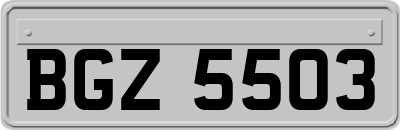 BGZ5503