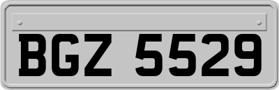 BGZ5529
