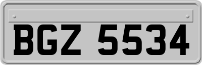 BGZ5534