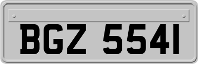 BGZ5541