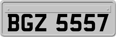 BGZ5557
