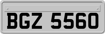 BGZ5560