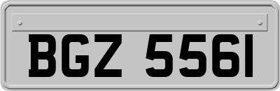 BGZ5561