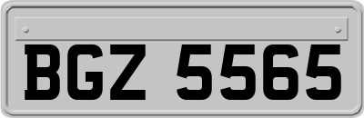 BGZ5565