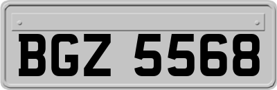 BGZ5568