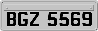 BGZ5569