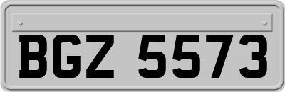BGZ5573