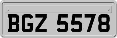 BGZ5578