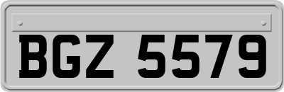 BGZ5579
