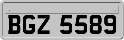 BGZ5589