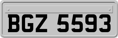 BGZ5593