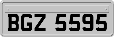 BGZ5595
