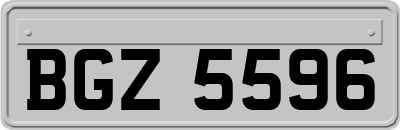 BGZ5596