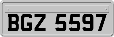 BGZ5597