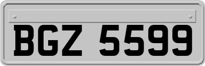 BGZ5599