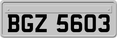 BGZ5603