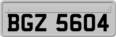 BGZ5604