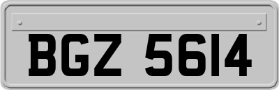 BGZ5614