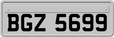 BGZ5699