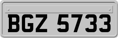 BGZ5733