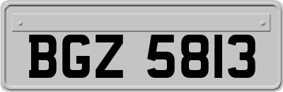 BGZ5813