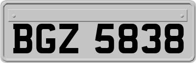 BGZ5838