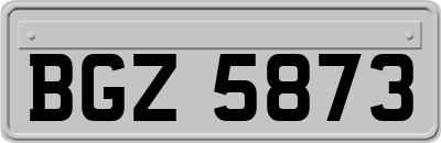 BGZ5873