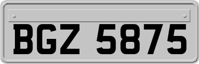 BGZ5875
