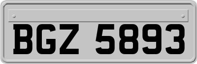 BGZ5893