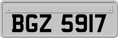 BGZ5917
