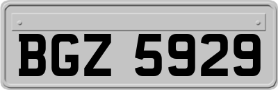 BGZ5929