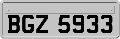 BGZ5933