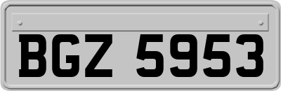 BGZ5953