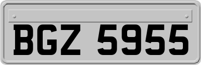 BGZ5955