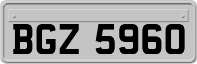 BGZ5960