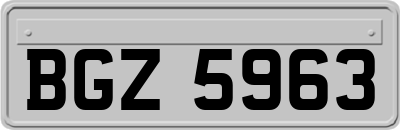 BGZ5963